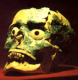 menselijke schedel gevonden in graf 7